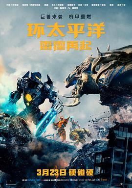 雾港回声电影海报